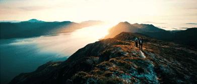 不开橱窗不直播不拍广告怎么赚钱,不开广告也有很高的流量是真的吗