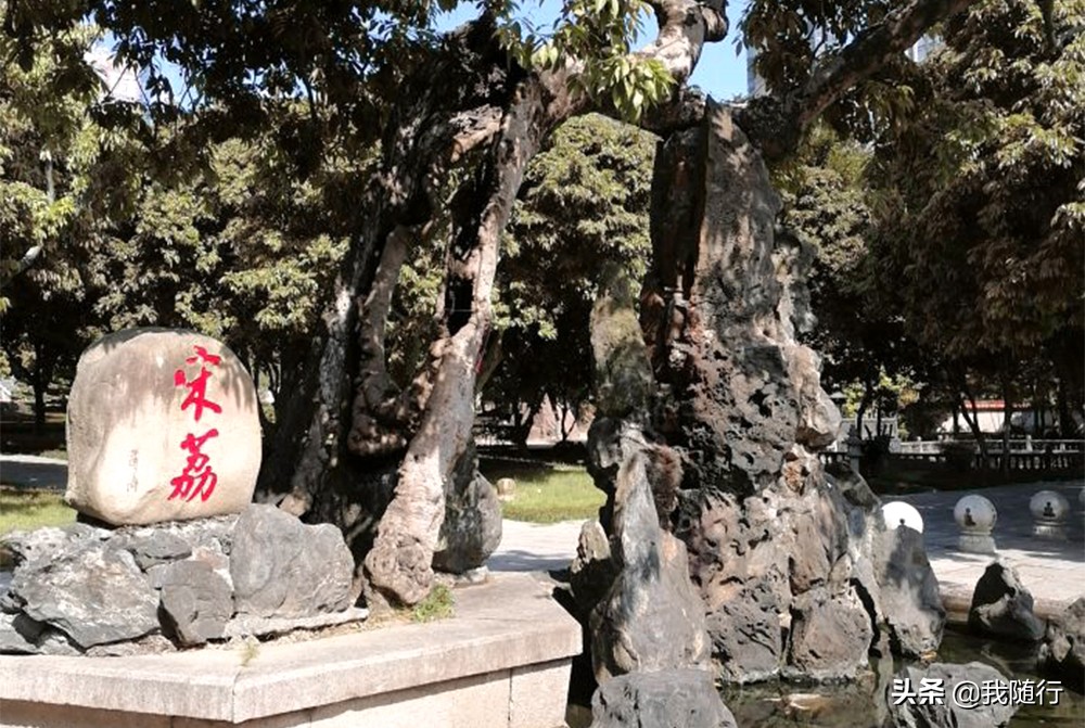 福州西禅古寺禁忌,福州的西禅古寺需要预约吗