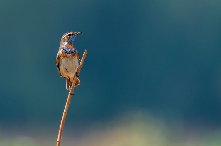 情人岛拍摄地点,情人岛航拍视频