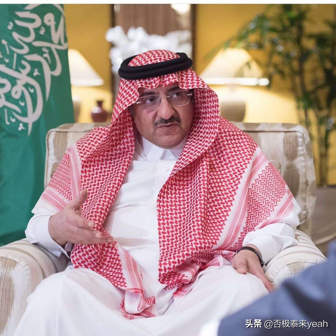 野心之大，一个阿拉伯半岛都装不下——MBZ（下）