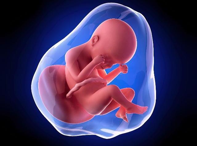 孕妇熬夜打麻将对胎儿有什么影响,怀孕五个月熬夜对胎儿有什么影响