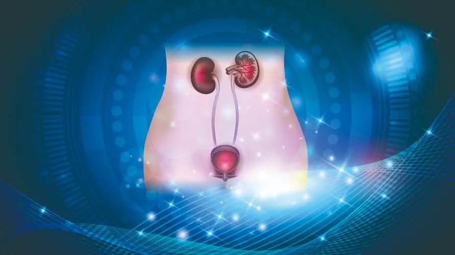 女性可能会遇到泌尿系统的问题,泌尿疾病应该怎么治疗女性