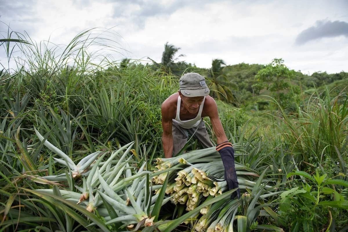 分不清垃圾的上海人哭了,用垃圾卖爆款的时尚圈笑了