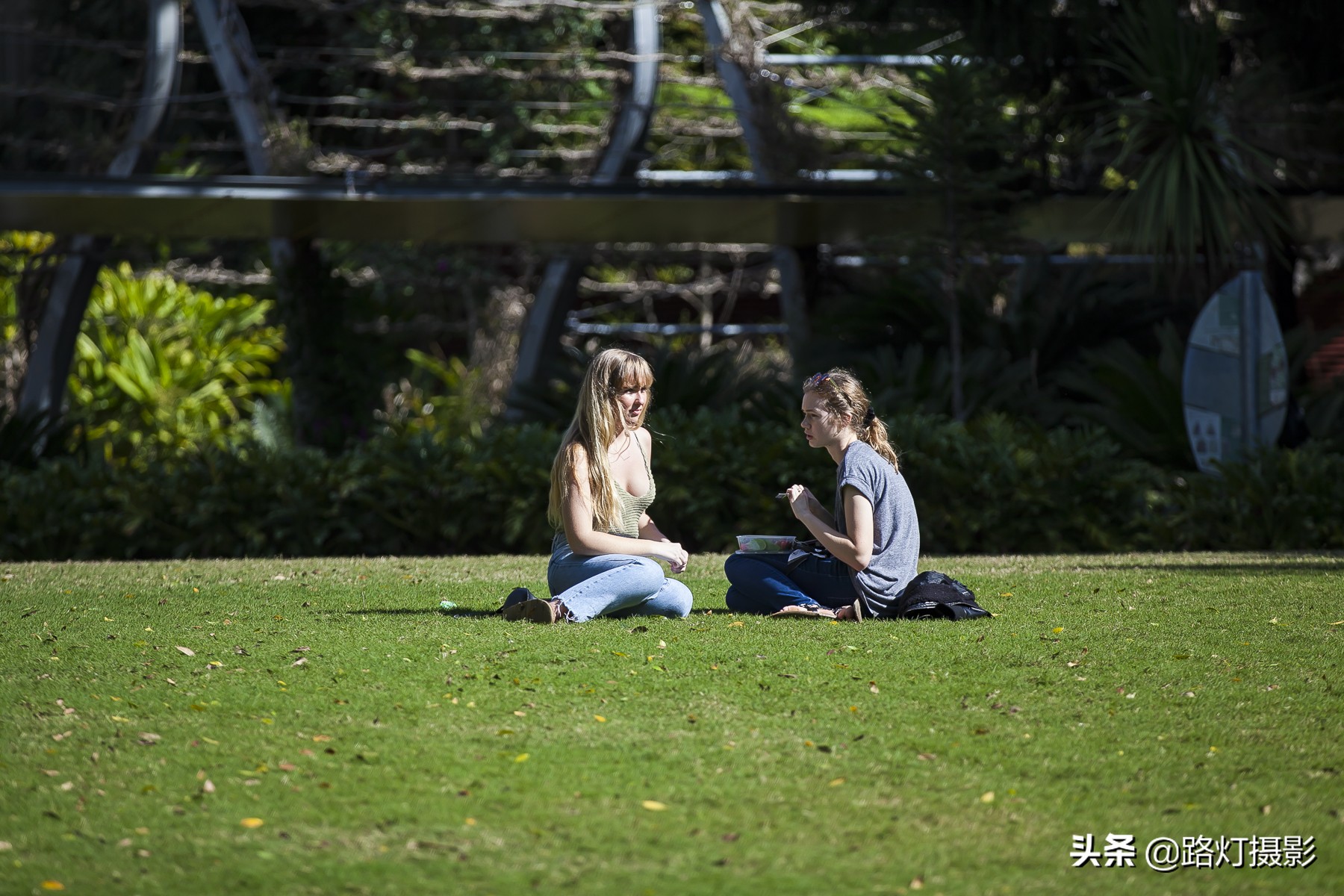 国外有没有禁止踩踏草坪,为什么国外草坪可以随便踩