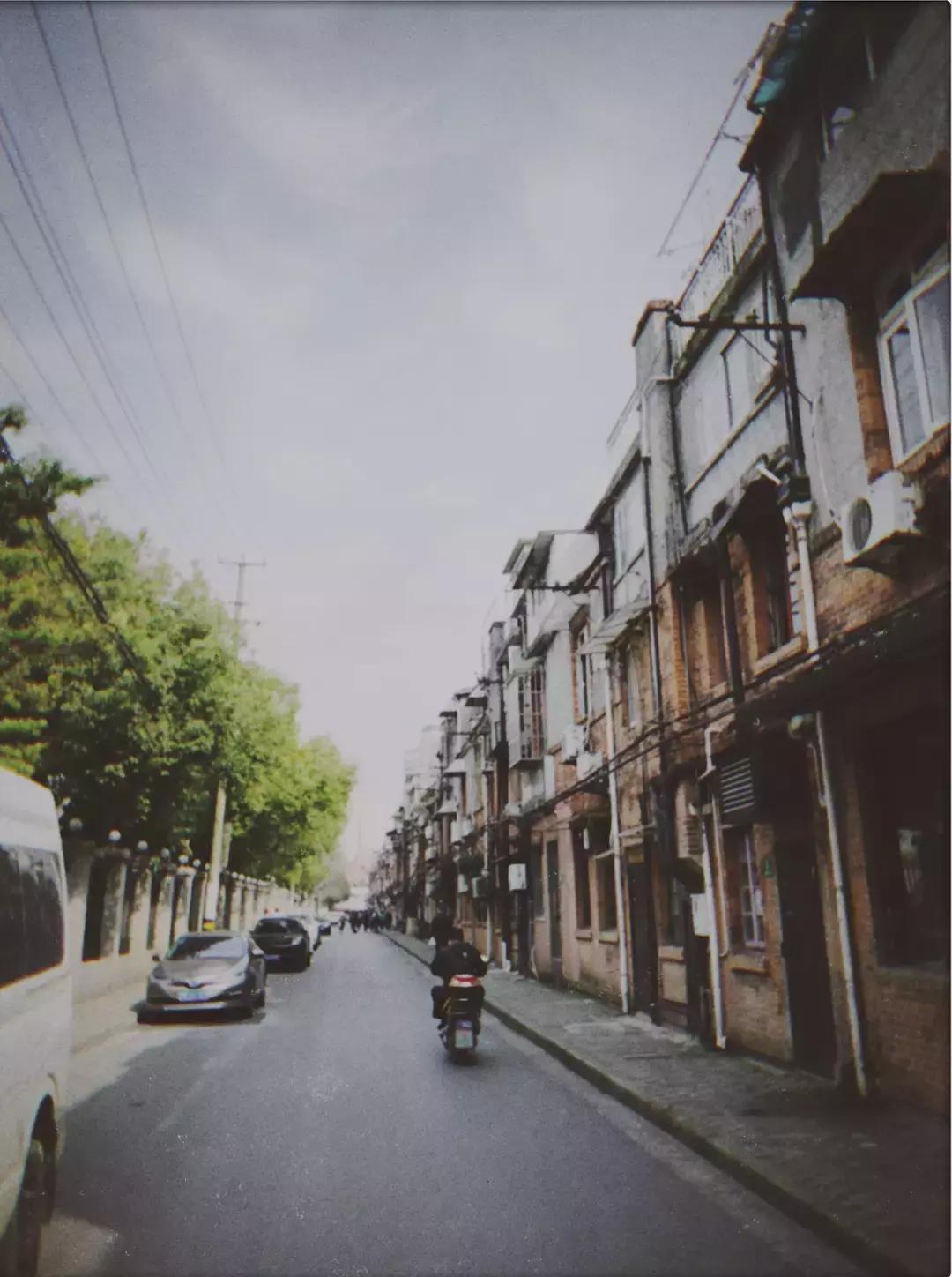 魔都徒步,魔都樱花徒步攻略