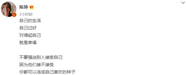 陈坤回应与何琳的关系,陈坤儿子生母案