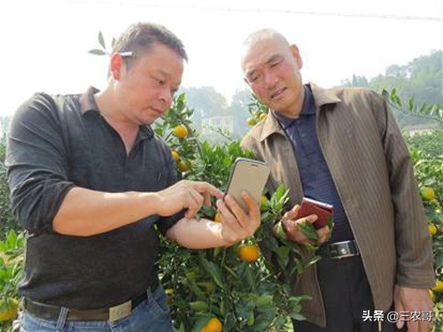 农村适合年轻人创业小项目,农村适合穷人的18个创业项目