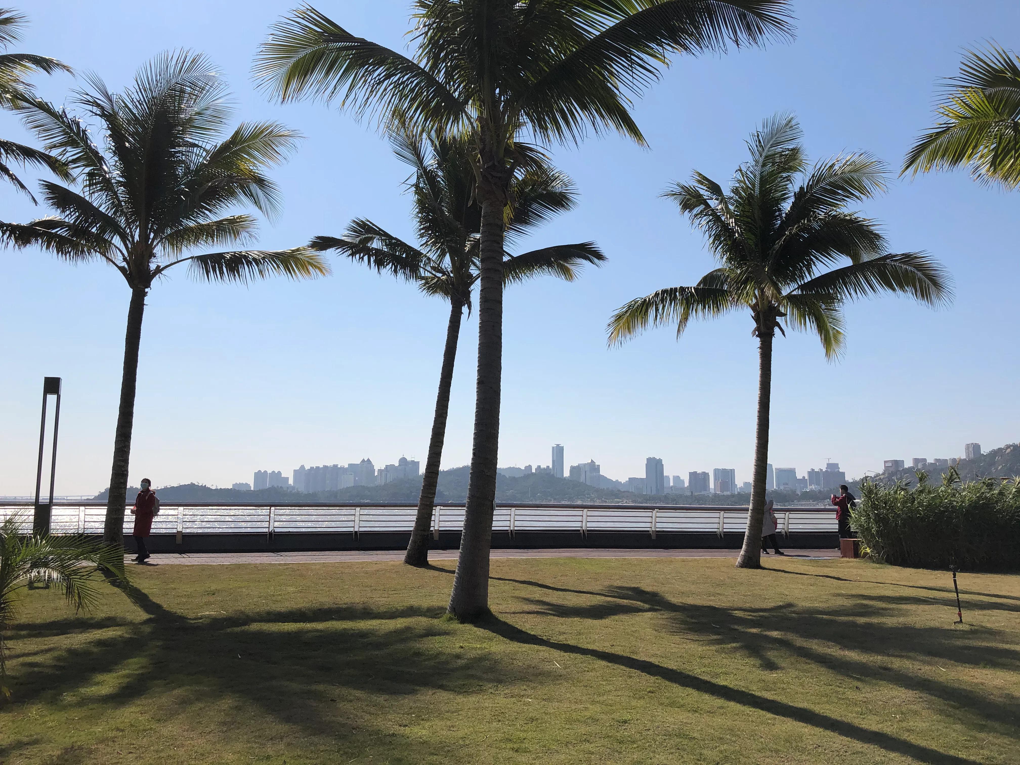 夜游珠海野狸岛风景,春节珠海野狸岛旅游