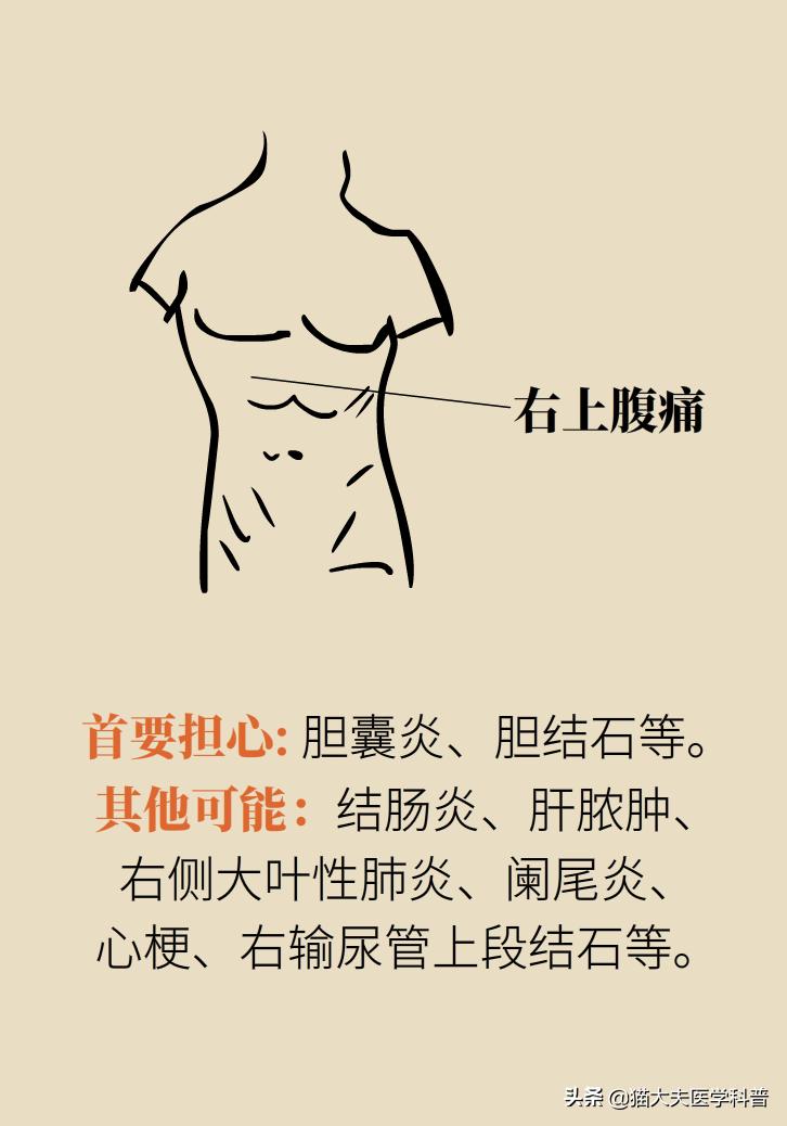 突然毫无征兆的肚子疼怎么办,肚子疼不是胃的问题还可能是什么