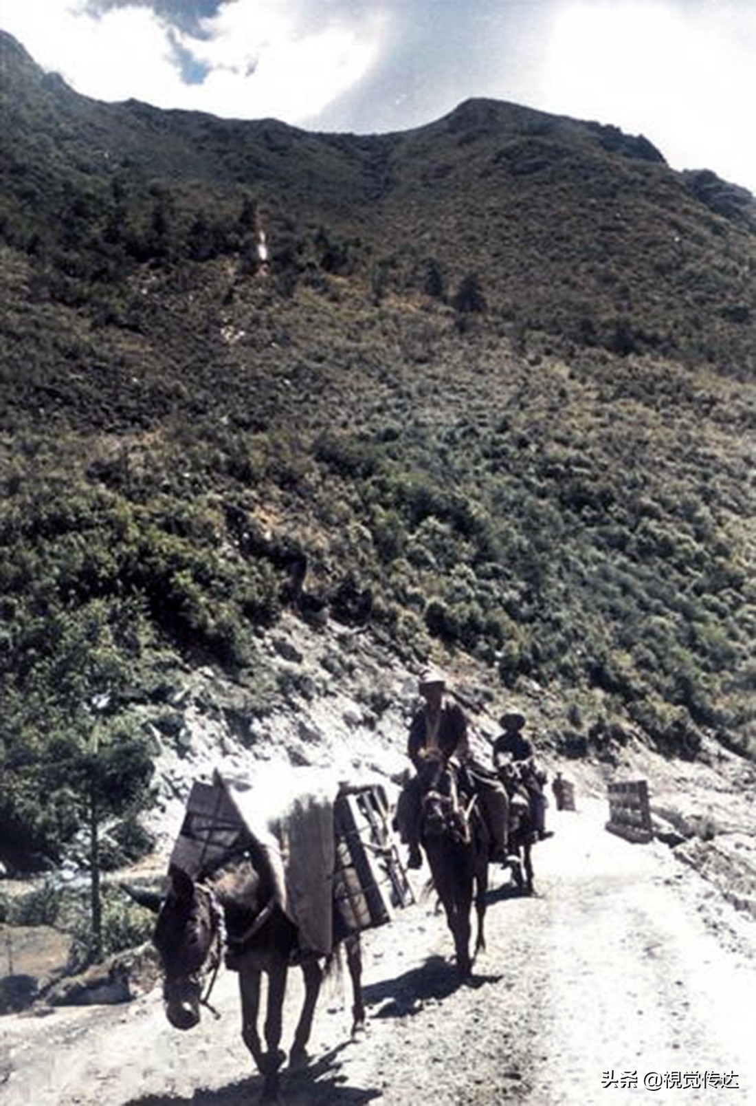 18张令人叹为观止的彩色老照片,令人震撼的65年前西藏高清彩照