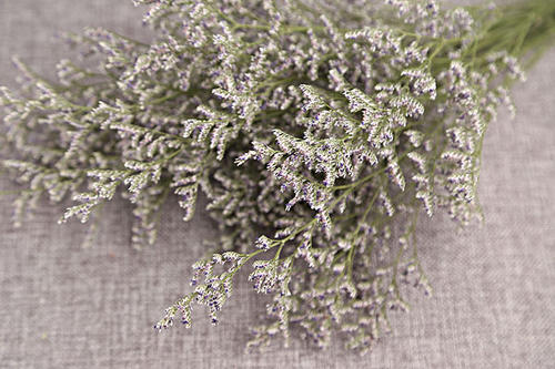 鲜花插花技巧专业术语,插花常见鲜花名称大全