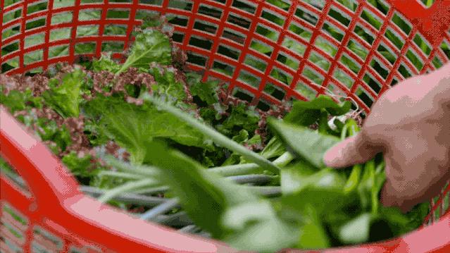 他31岁，常为了吃丢下工作：人生最大的事，是吃好每顿饭