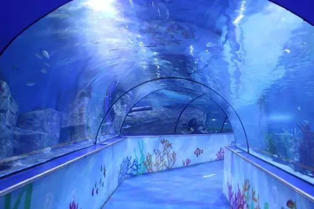 保定冬天适合带孩子去哪里玩,保定适合带孩子玩的免费的地方