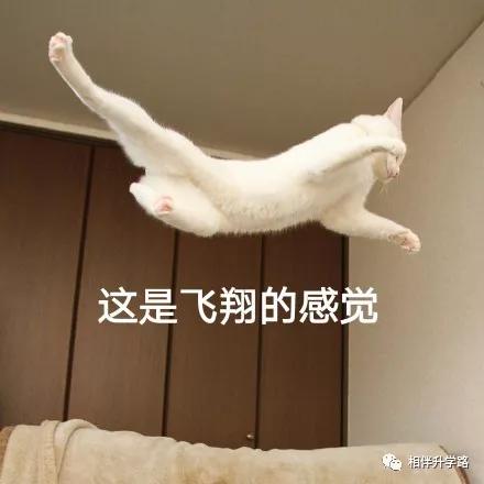 最顶尖新校来了！复旦、交大附属校落子闵行，集齐超一流小初高