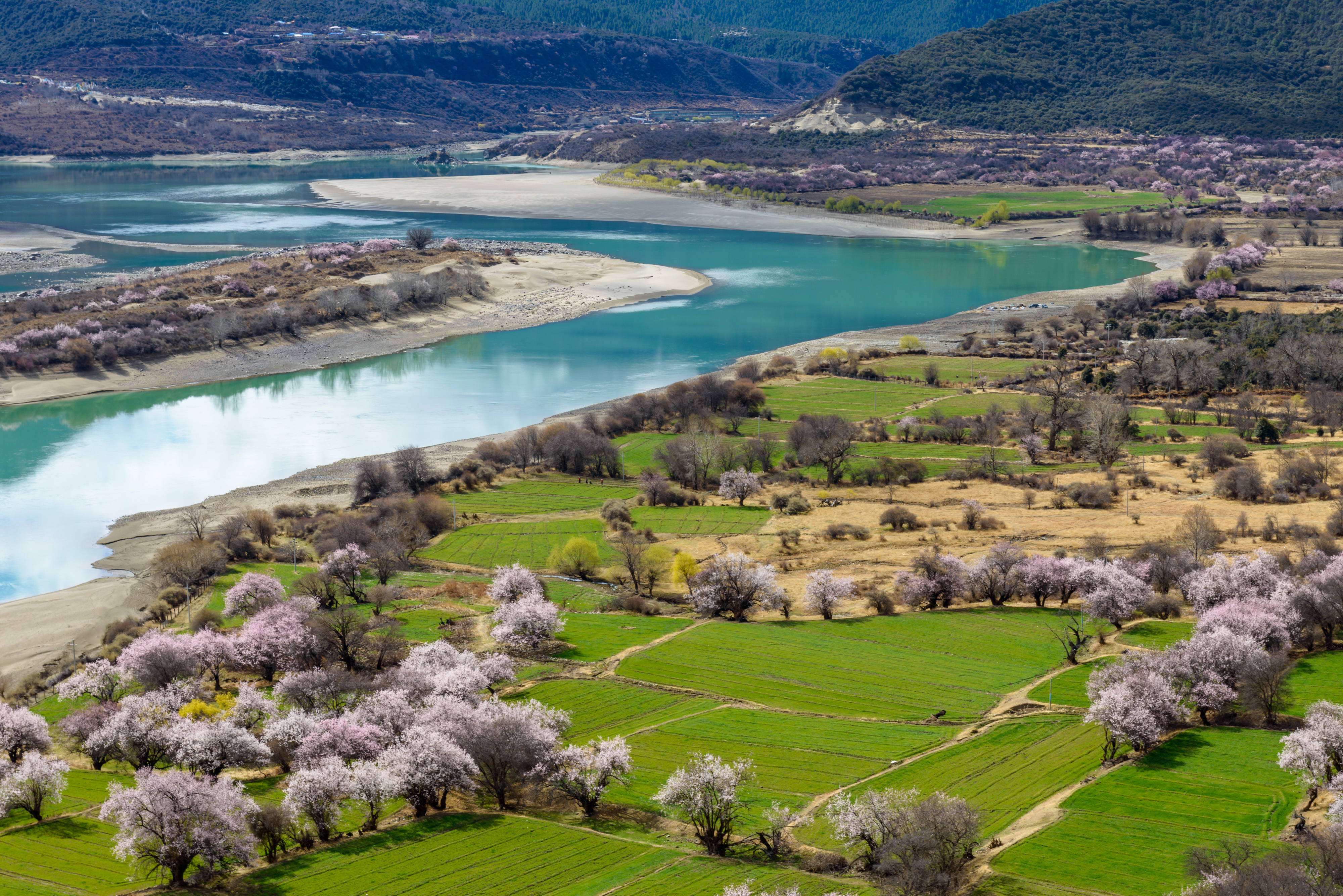 骞稿緱璇嗗嵖妗冭姳闈粠姝ら槨闄屽鏆栨槬,骞稿緱璇嗗嵖妗冭姳闈㈣嚦姝や汉闂村鏆栨槬