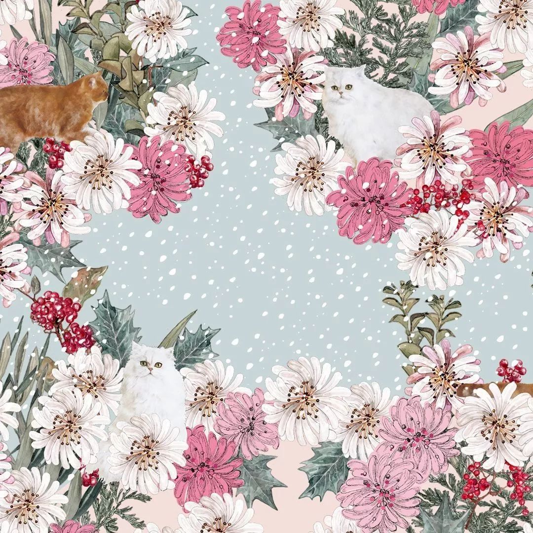 最近很火的倒数日视频,最火的倒数日历表