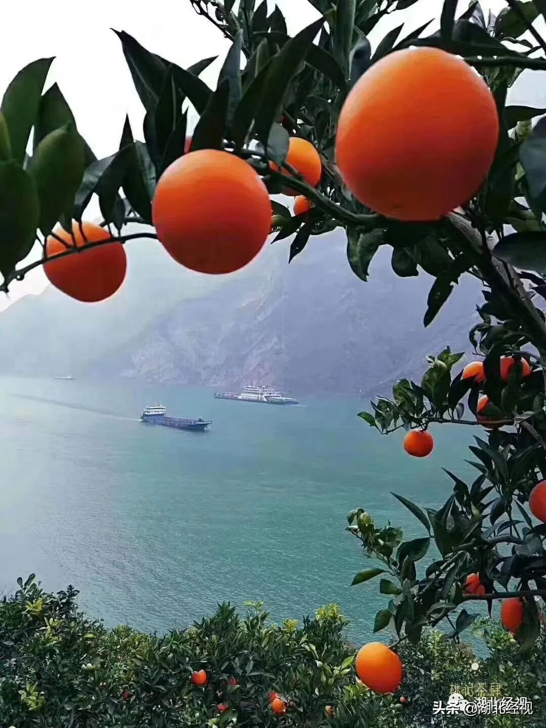 经视优选，低价好货！这个五一，我们继续！春风十里，带“鄂”出圈！