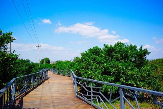 浙江黄岩贡桔园,贡橘园景点