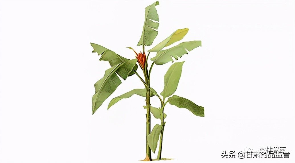 夏季腹泻常识及保健宣传片,科普腹泻该如何护理