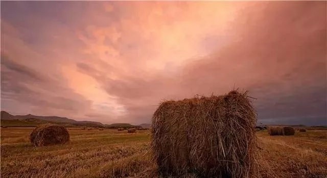 想创业低成本创业项目有哪些,现在最好的创业项目个人开店创业