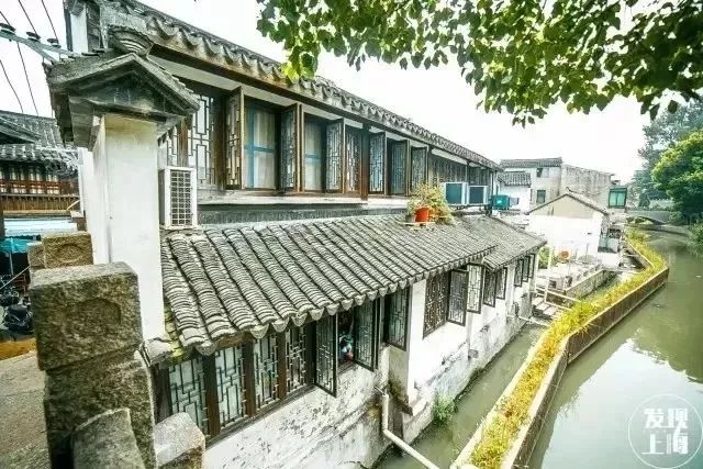 生日当天上海免费景点,上海网红打卡地点景点免费