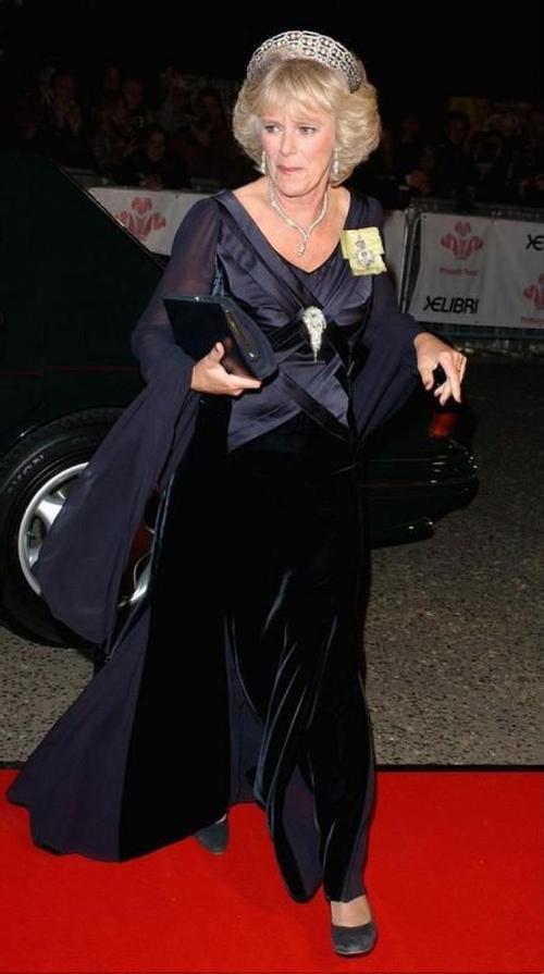 威廉哈里王子揭开戴安娜雕像,戴安娜王妃雕像威廉