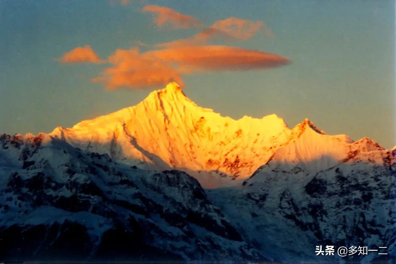 出租古茶树,古树茶地出租