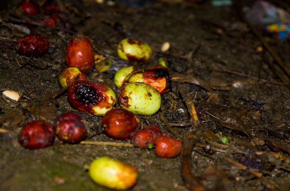 尼康d700怎么拍视频教程,尼康d700带手柄效果如何