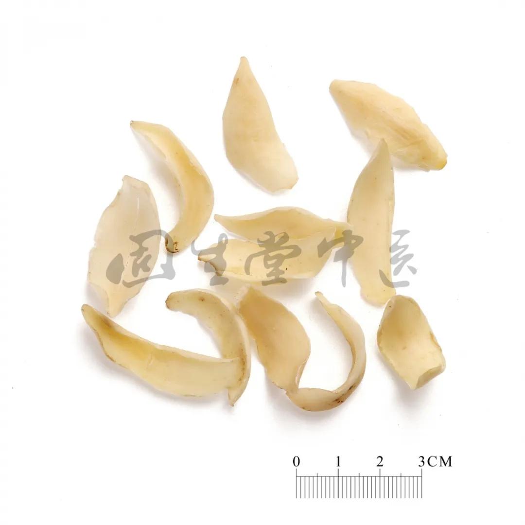 孩子咳嗽总是清嗓子怎么回事,孩子总是吭吭的清嗓子吃什么药