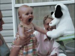 搞笑gif图原谅我不厚道的笑了,搞笑gif段子实在是猝不及防啊