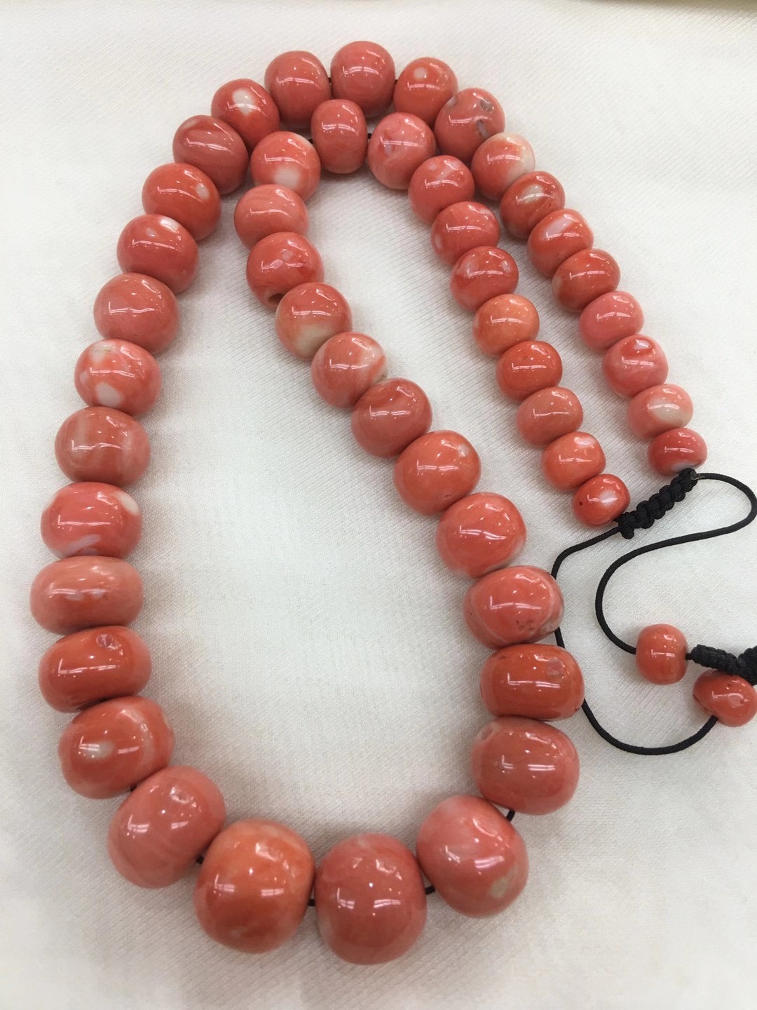 红珊瑚怎么辨别图片,红珊瑚怎么区分品种