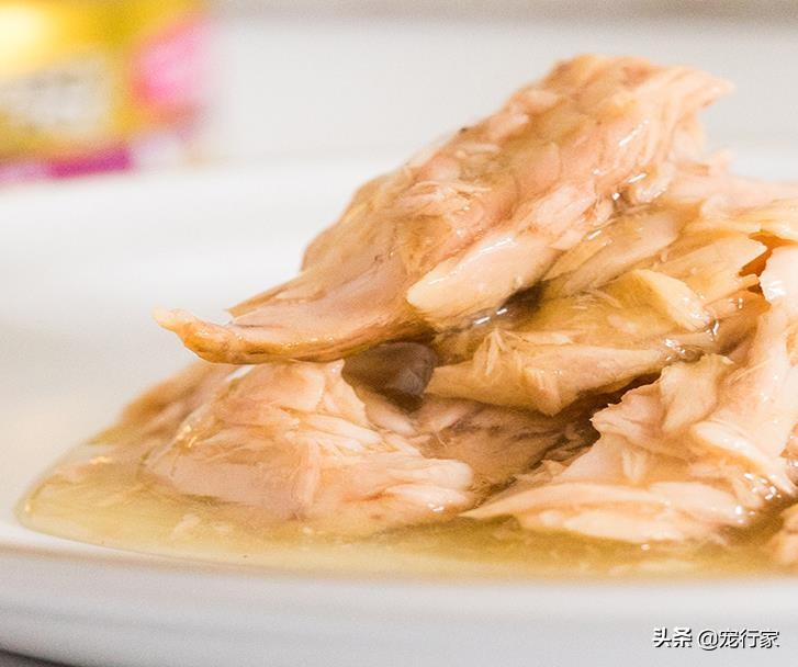 天气突然降温猫这两天一直吐为啥,天冷猫为什么这么怕冷