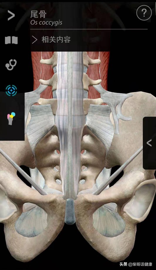 用3D来脊柱体表定位简单多了