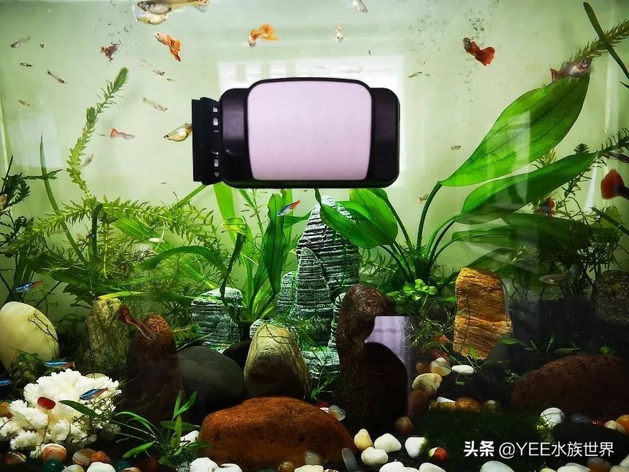 微观除藻最有效的方法,除藻工具