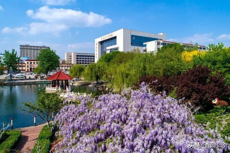 县级市诸城市排名第几,诸城全国百强排名