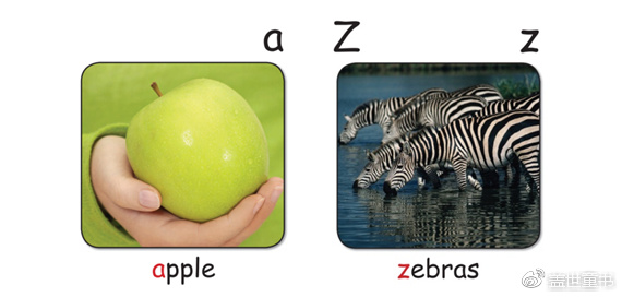 红火箭分级阅读科普,红火箭分级阅读有视频吗