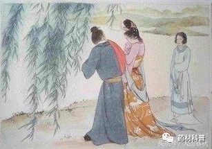 当归禁忌有哪些,当归的十大禁忌