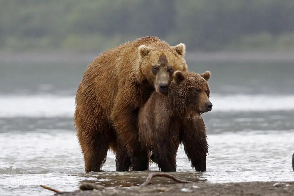 情人节，就该和爱的人*爱做**做的事