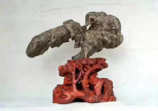 都是些什么“鸟石”？保证有你好看