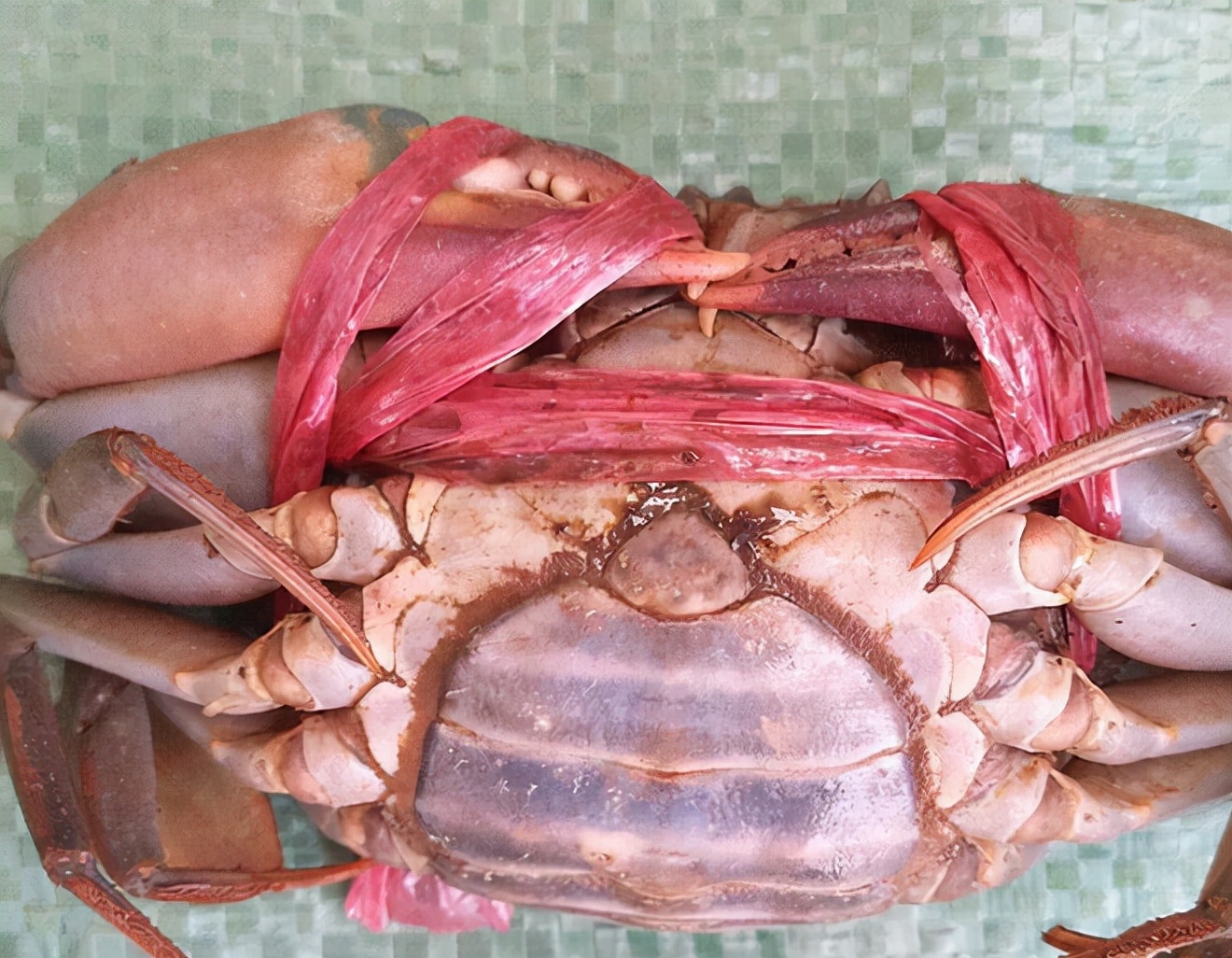 为什么一定要吃活蟹,鲜活的蟹为什么不能吃