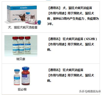 幼猫养护知识大全,幼猫驱虫的注意事项