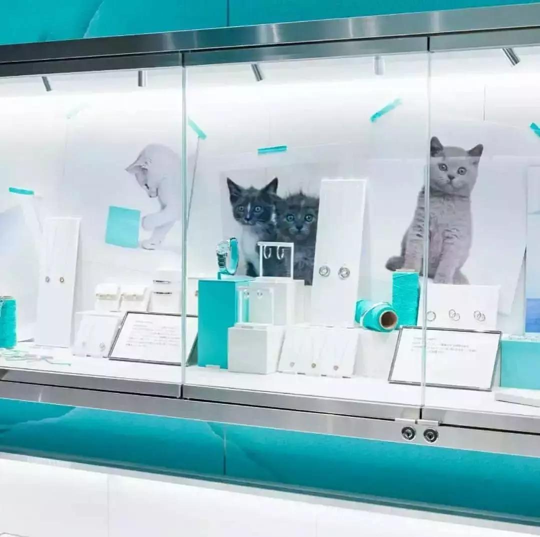 上海tiffany咖啡店,tiffanycafe香港广场