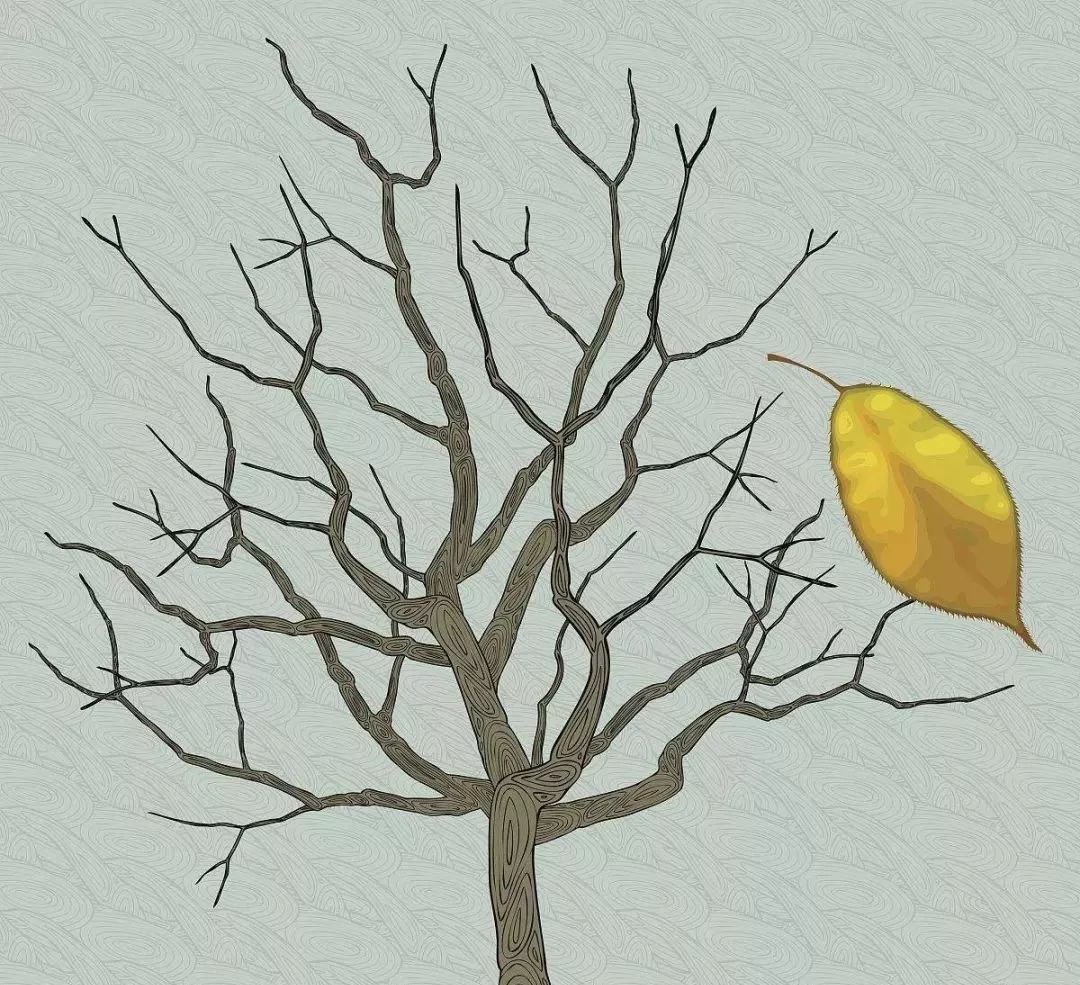 欧亨利最后一片叶子赏析,欧亨利最后一片叶子