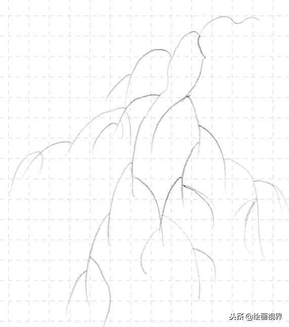 钢笔画入门教程花鸟,钢笔画入门基础教程人物