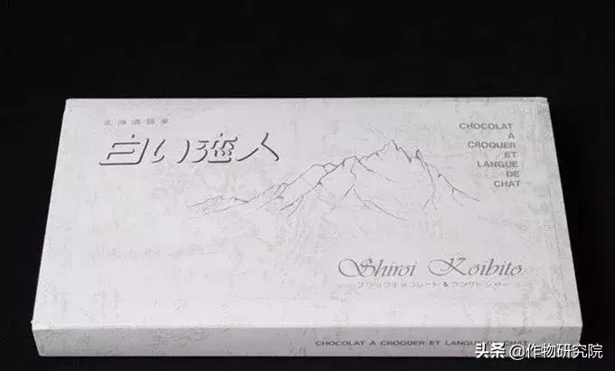 日式网红薄饼干,日本饼干伴手礼