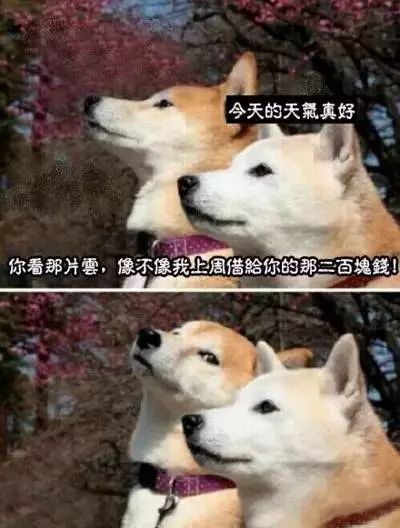 要欠债还钱的表情包,有了钱搞笑表情包