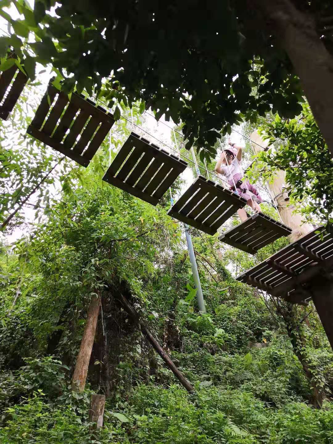 亲子户外丛林探险,原始森林亲子探险