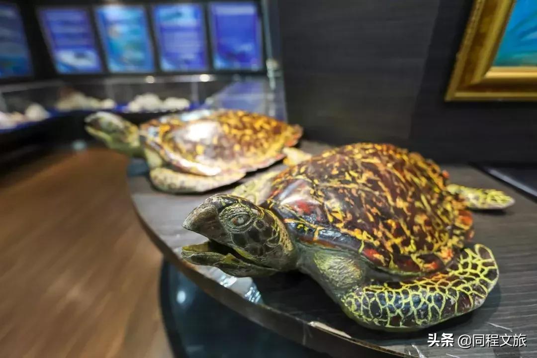 马来西亚宁静的小镇,马来西亚的花样小城