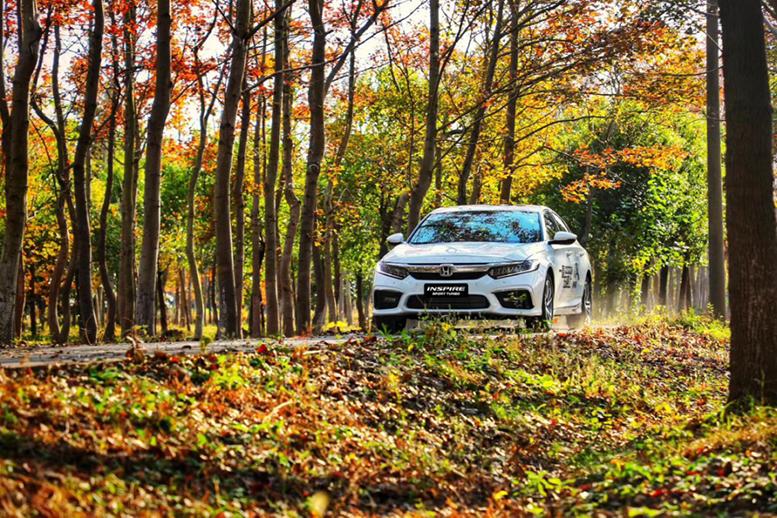 省油混动价位低,省油混动车