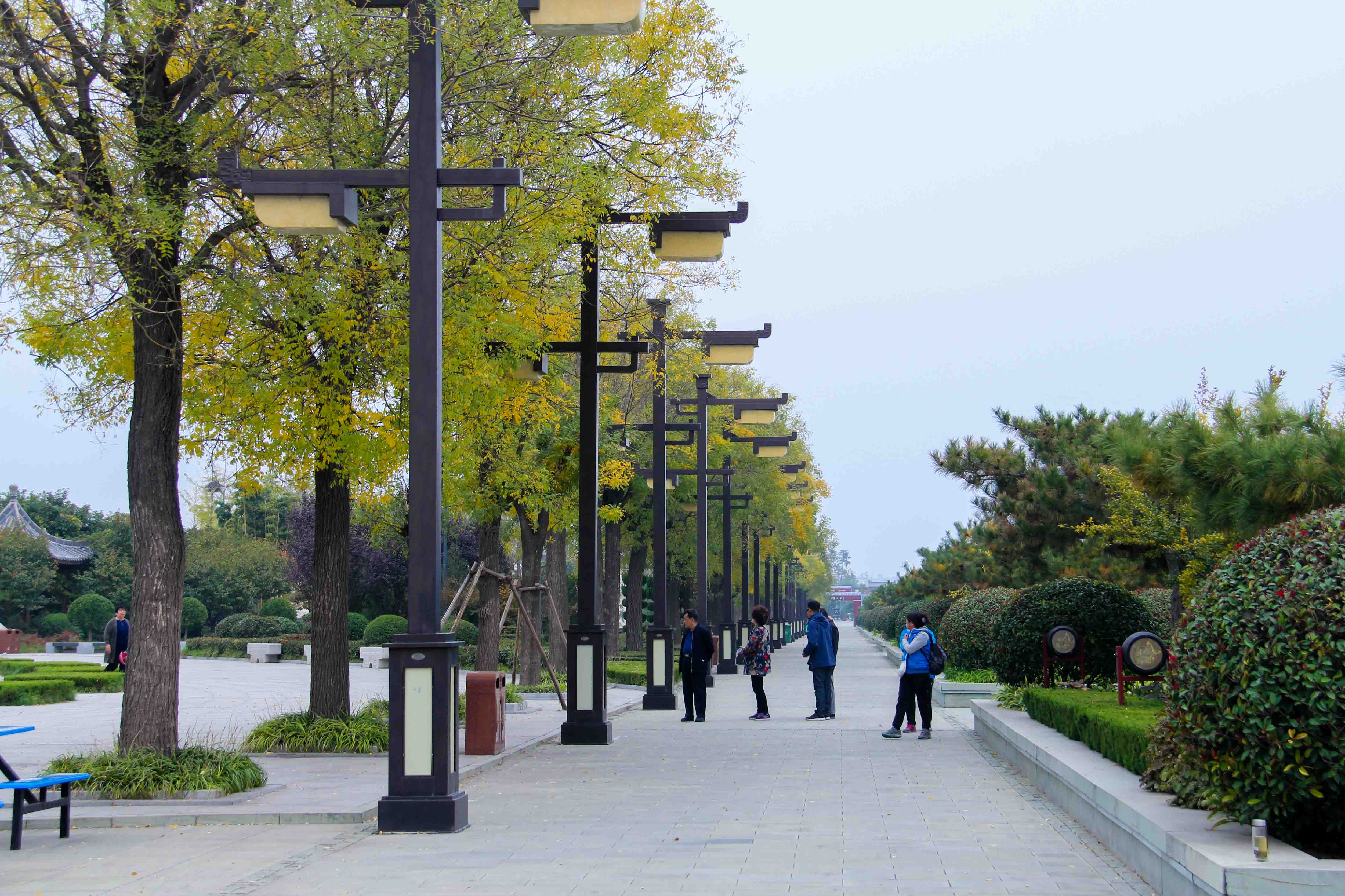 陕西乡村游韩城都有什么逛的地方,韩城潼关一日游